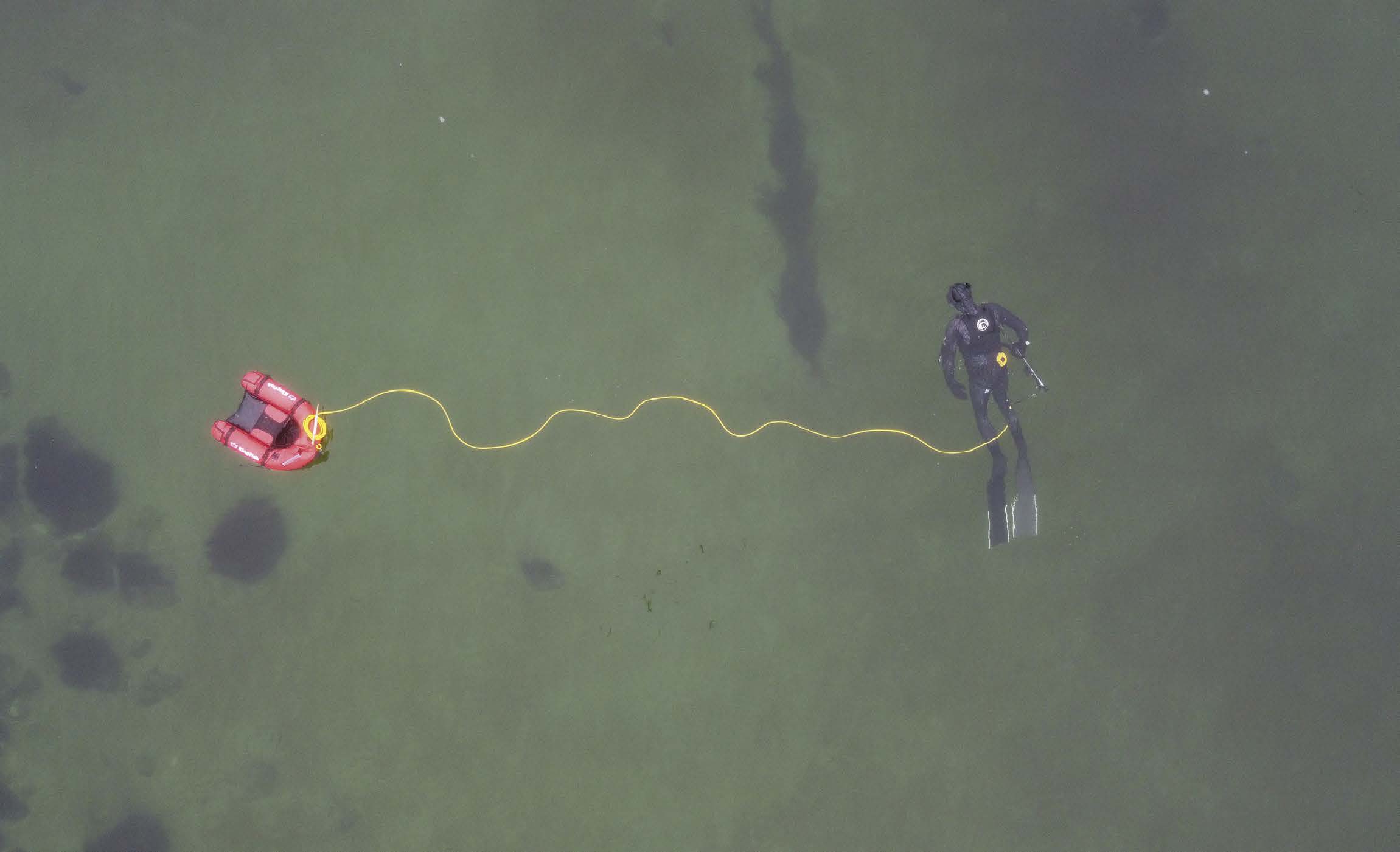 Levestederne - en rejse gennem det vilde Danmark_FOKUS_1korr_eas_ret_OK.jpeg