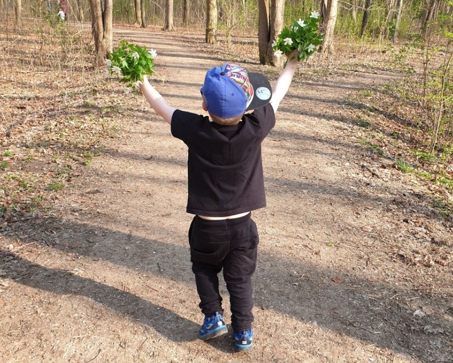 pressefoto naturstyrelsen.jpg