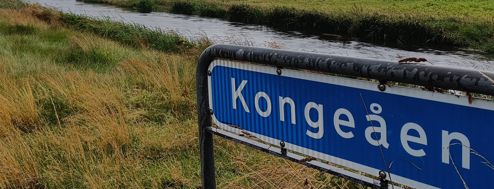 Kongeå-åbning.jpg