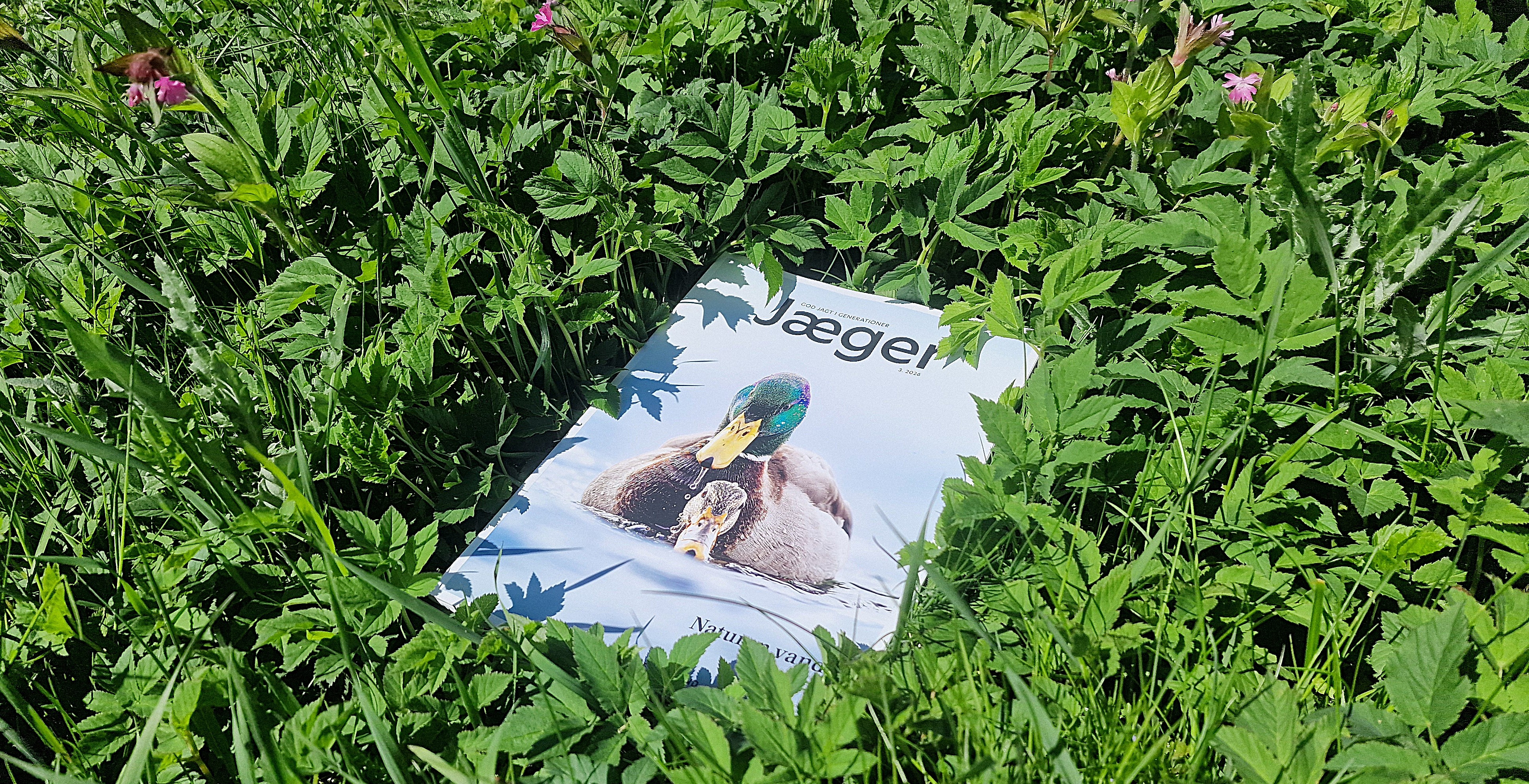 Jæger nr. 3 2026.jpg