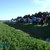 Forårsmarkprøve 9-4-2016  004