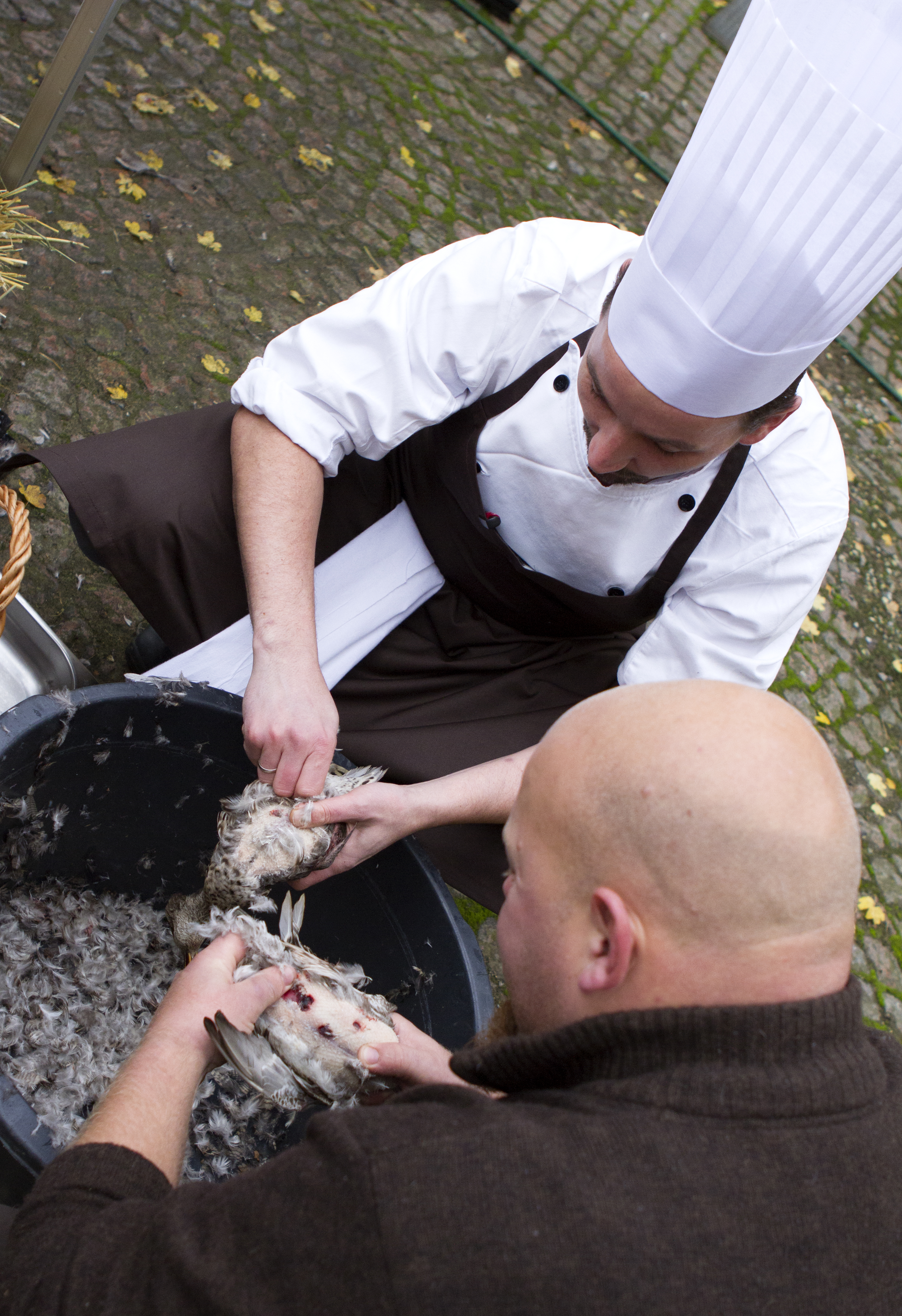 Mesterkokkene udvalgte personligt det vildt, de ville bruge, ordnede det, tilberedte det, og serverede det for et eksklusivt dommerpanel af kendte gastronomer og madanmeldere.