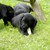 DSC_0361.JPG (1)