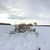 Vildtstribe vinter_LMI