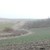 Sømarke translokation 2017_JPE (2)