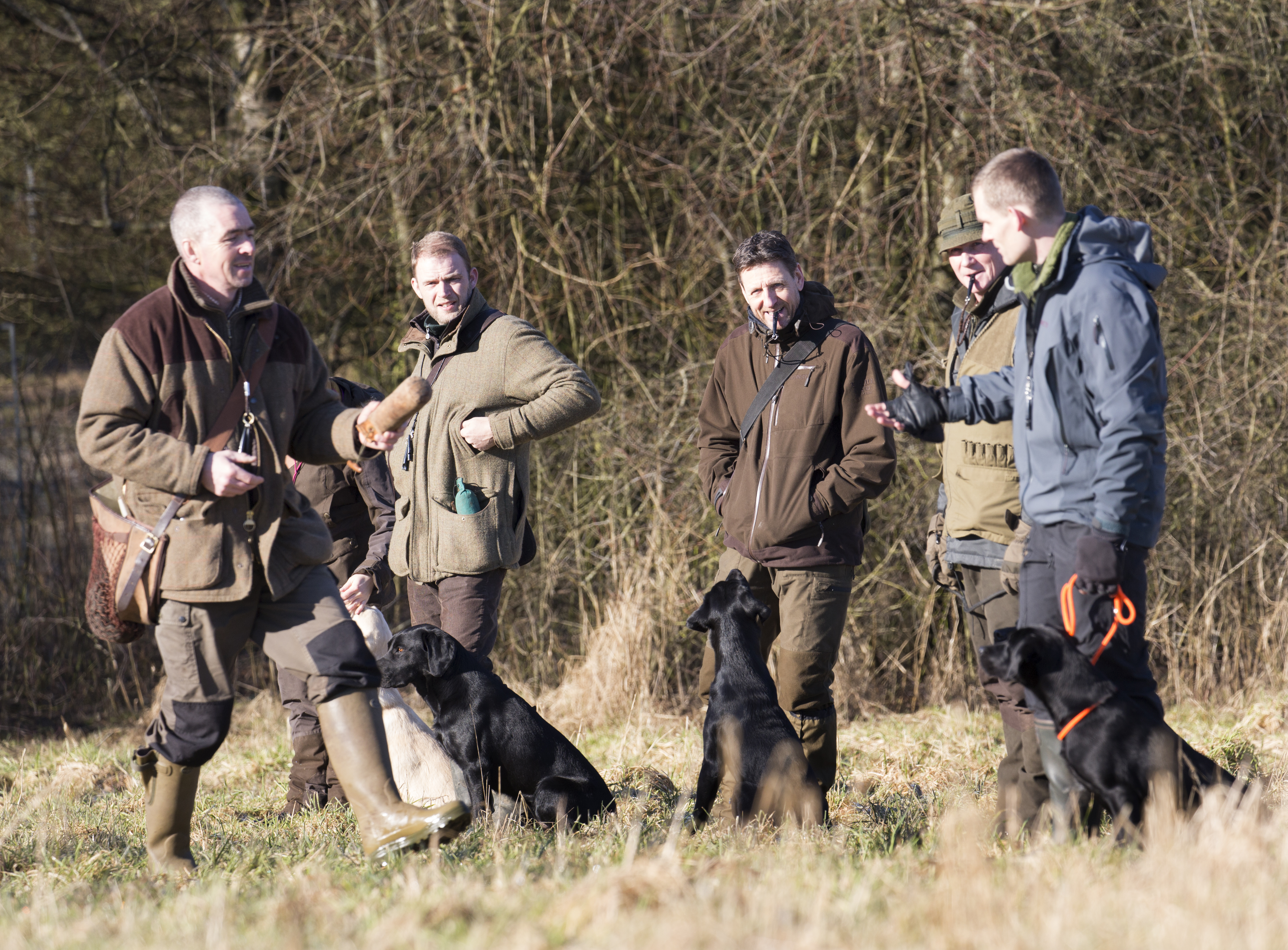 Hundetræning 23.jpg