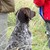 DSC00421.JPG