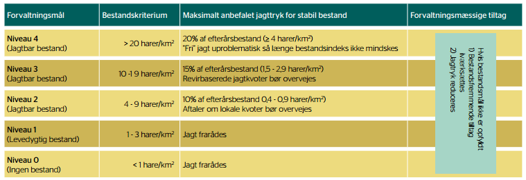 Fakta om hare -