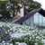 Jagtens Hus i blomsterskjul1.jpg
