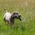 DSC00490.JPG