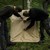 Re-exposure of DSC_0145.JPG
