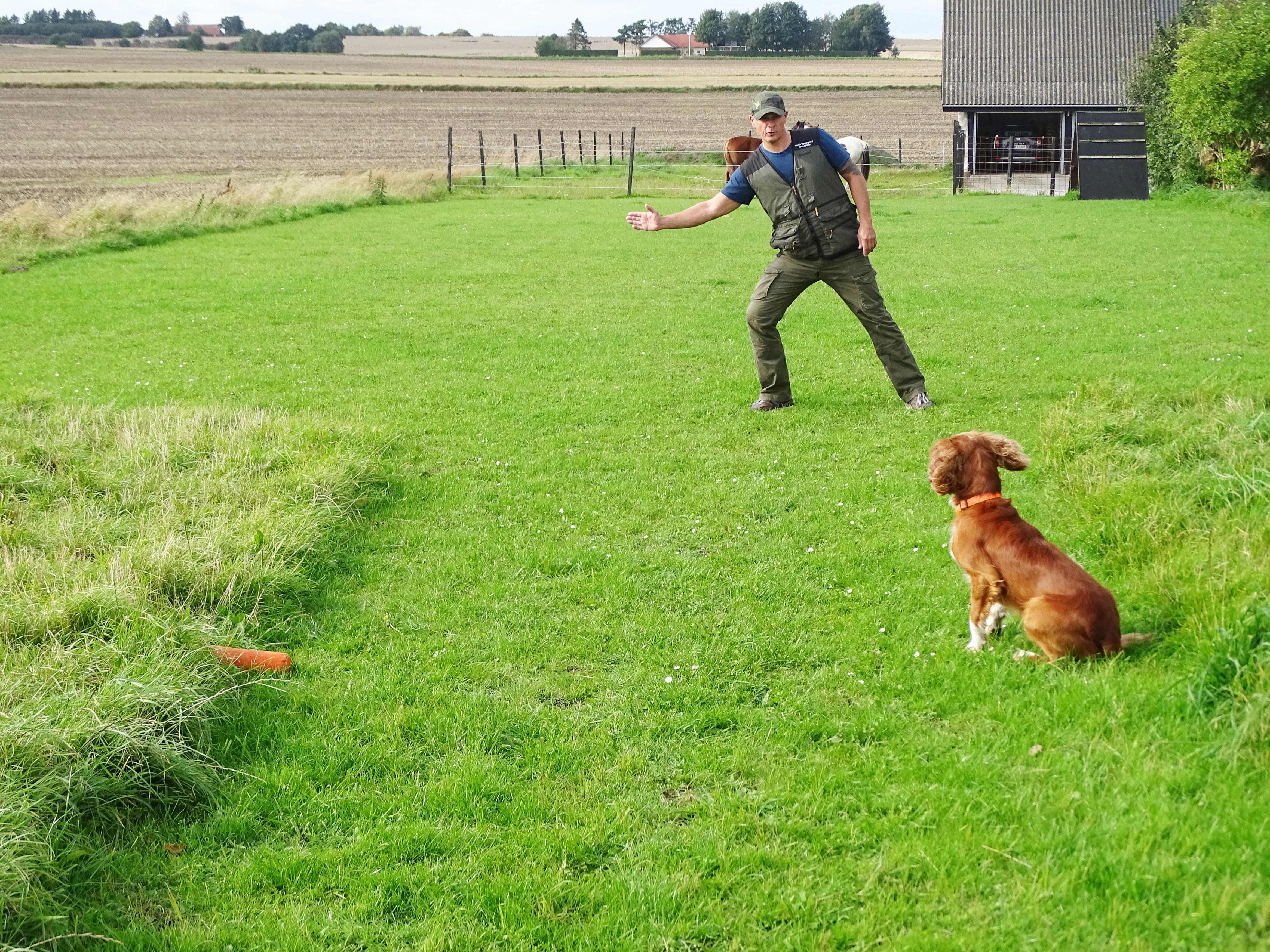 Hundetræning: Dirigering II - Danmarks