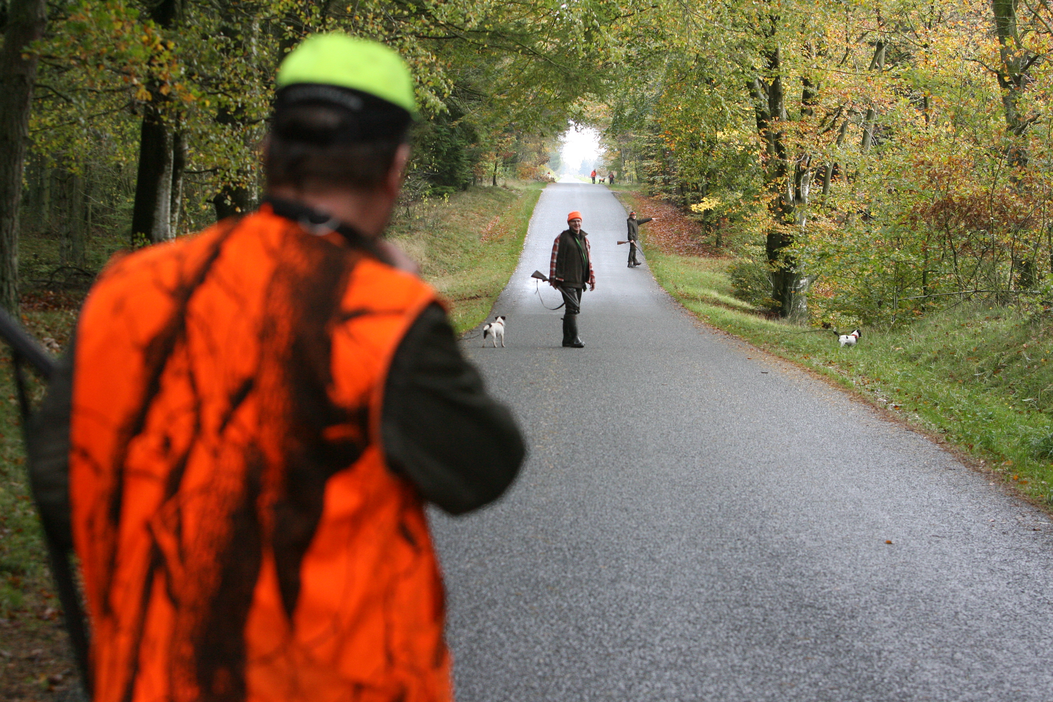 DJ Puljen 2024 Danmarks Jægerforbund