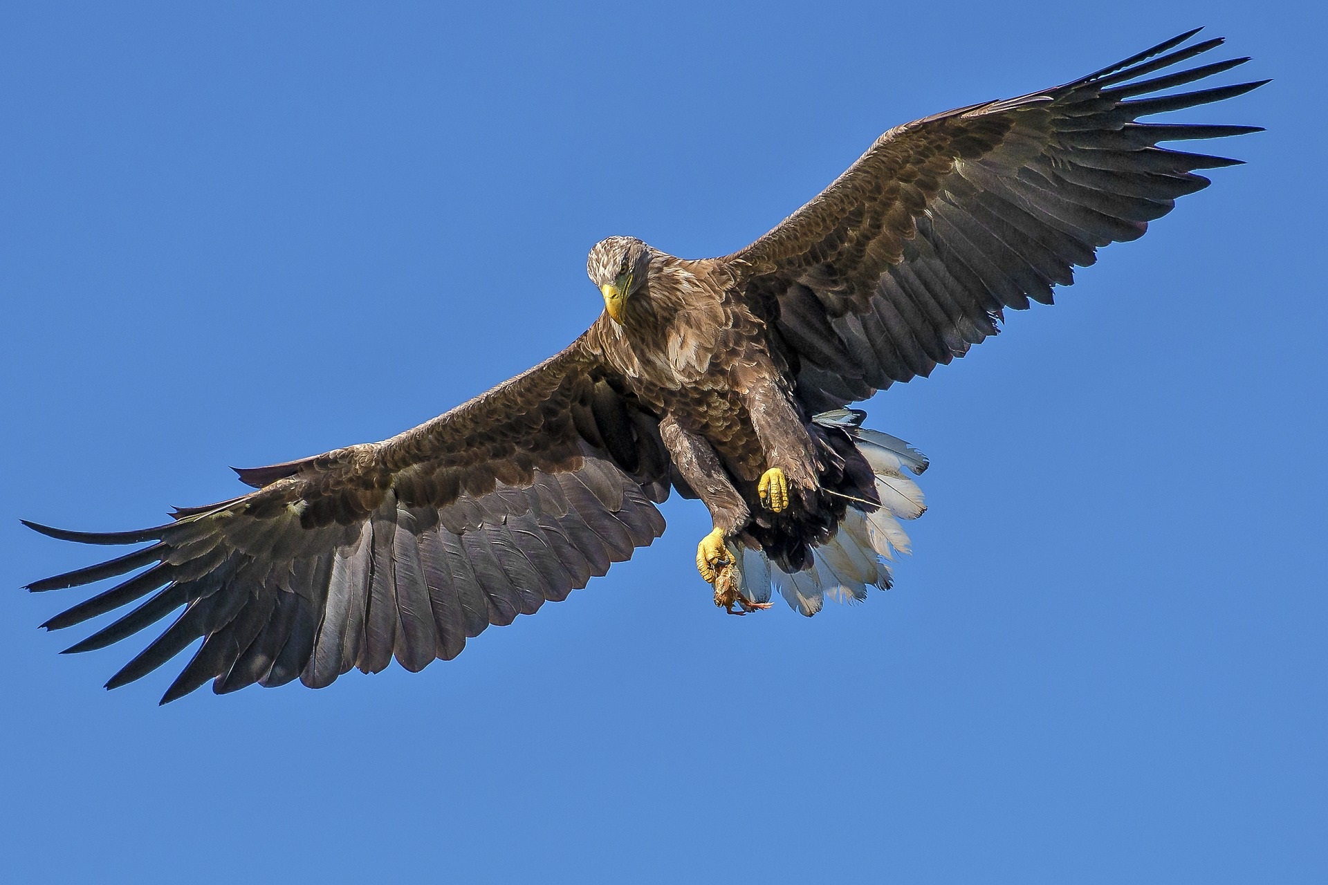 Foto: Torben Stroem