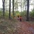 20171103_135248.jpg