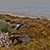 DSC_0121 2.jpg
