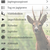 app.png (1)