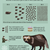 maarhund-faar-mange-hvalpe-3.png